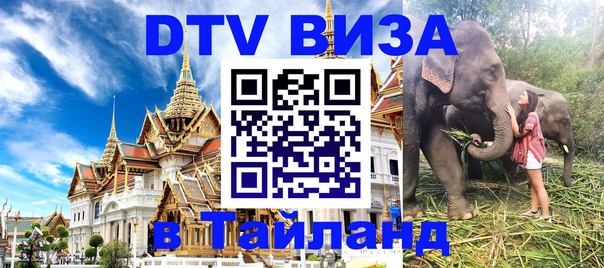 Оформление DTV визы под ключ: стоимость и тарифы, только загранпаспорт - 04.10.2025 